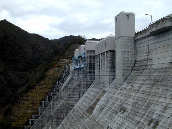 ���c���_���𑤖ʂ���]��