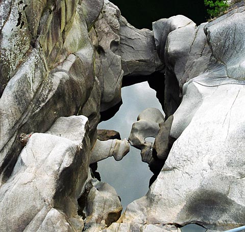 �傫���M��