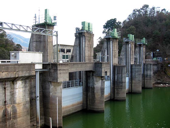 �����r�����猩���񋉃_��