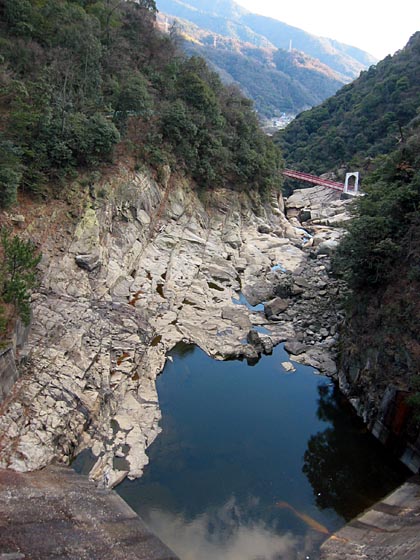 �񋉃_�����猩���񋉋�