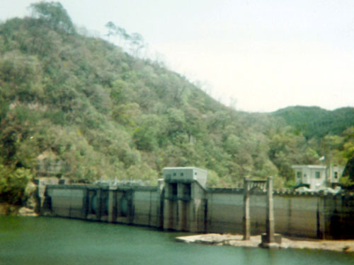 ���t���O