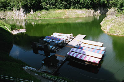 �V���D����