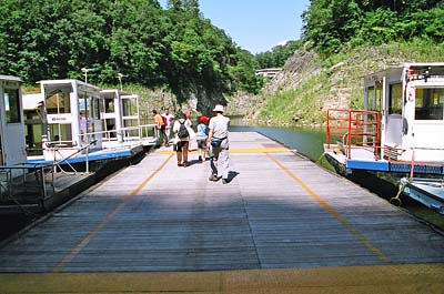 �V���D����