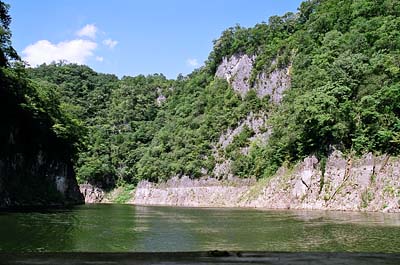 �V���D����