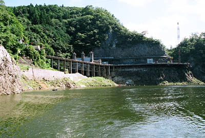 �V���D���猩���H������S�i