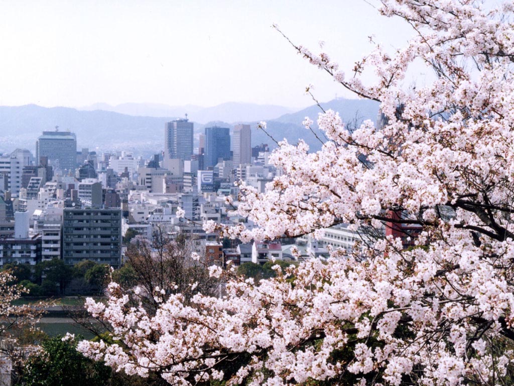 ３周年記念画像・比治山の桜